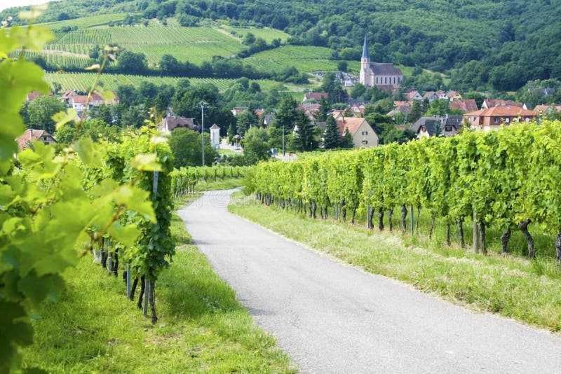 Appartement Avec Terrasse Entre Vignes, Balades, Alsace Guebwiller Exterior photo